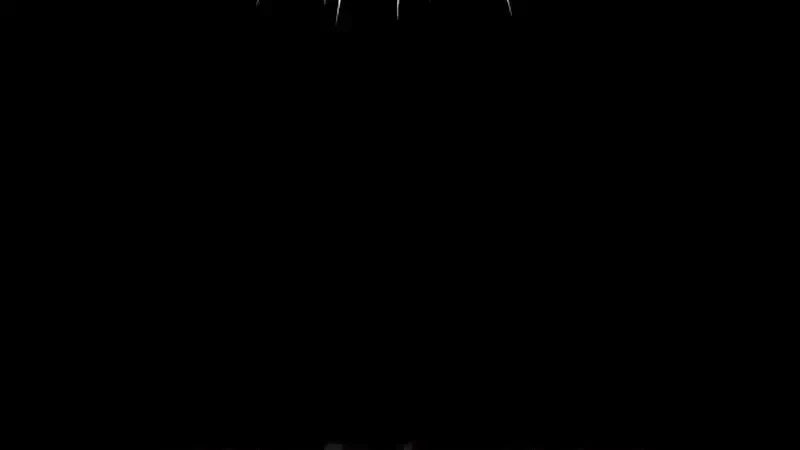 Página 217
