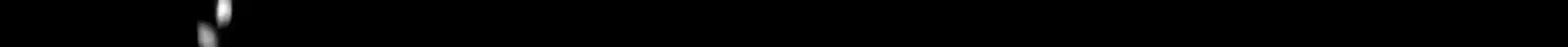 Página 198