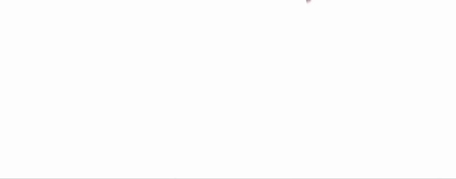 Página 100