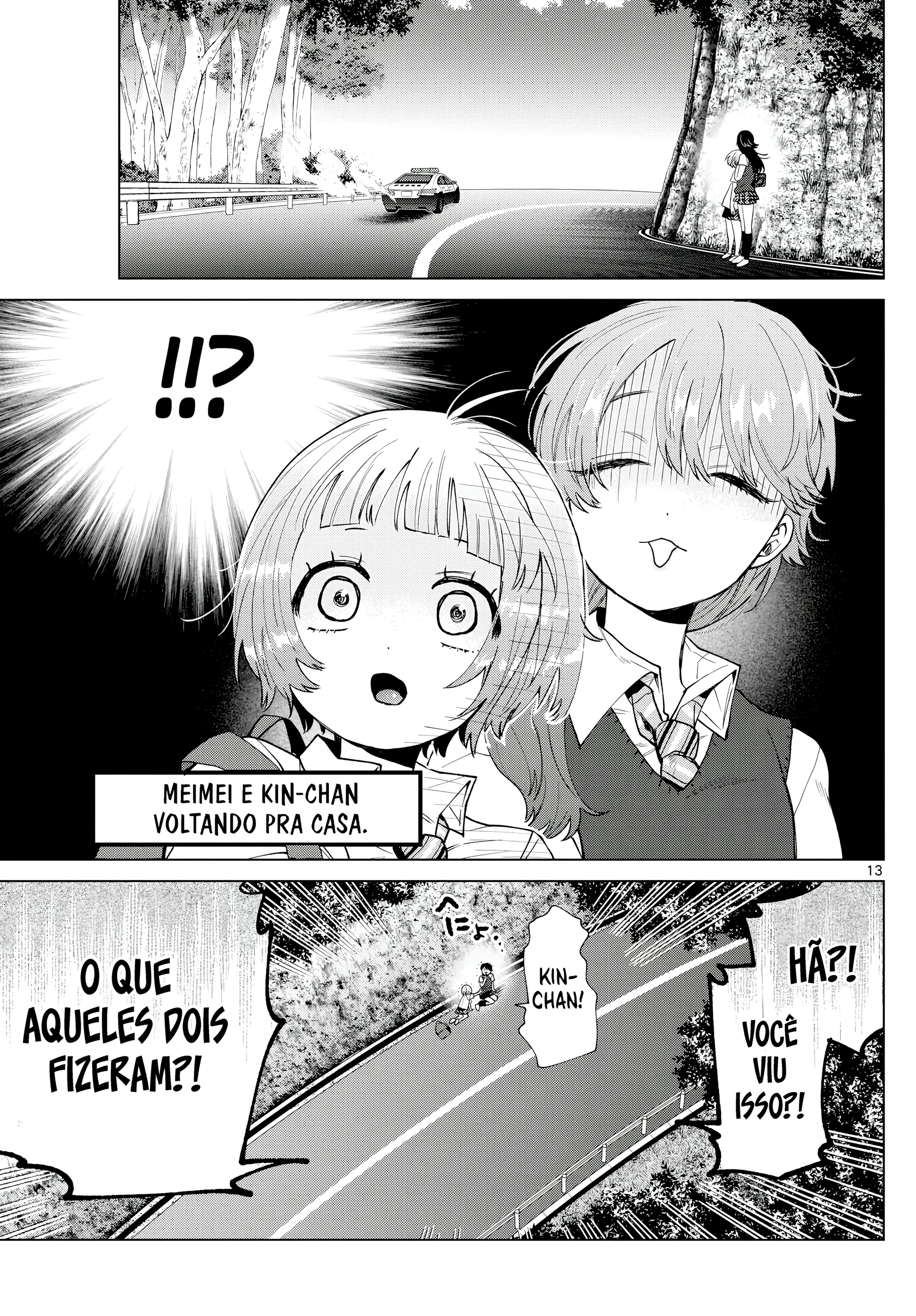 Página 13