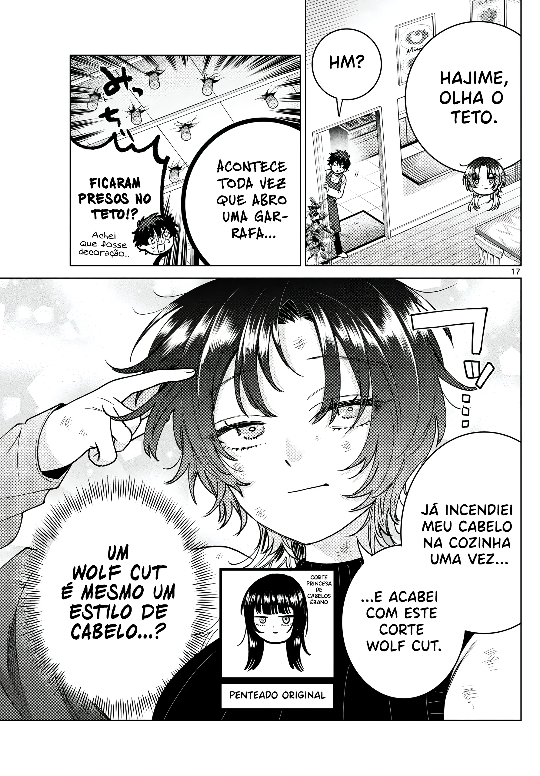 Página 17