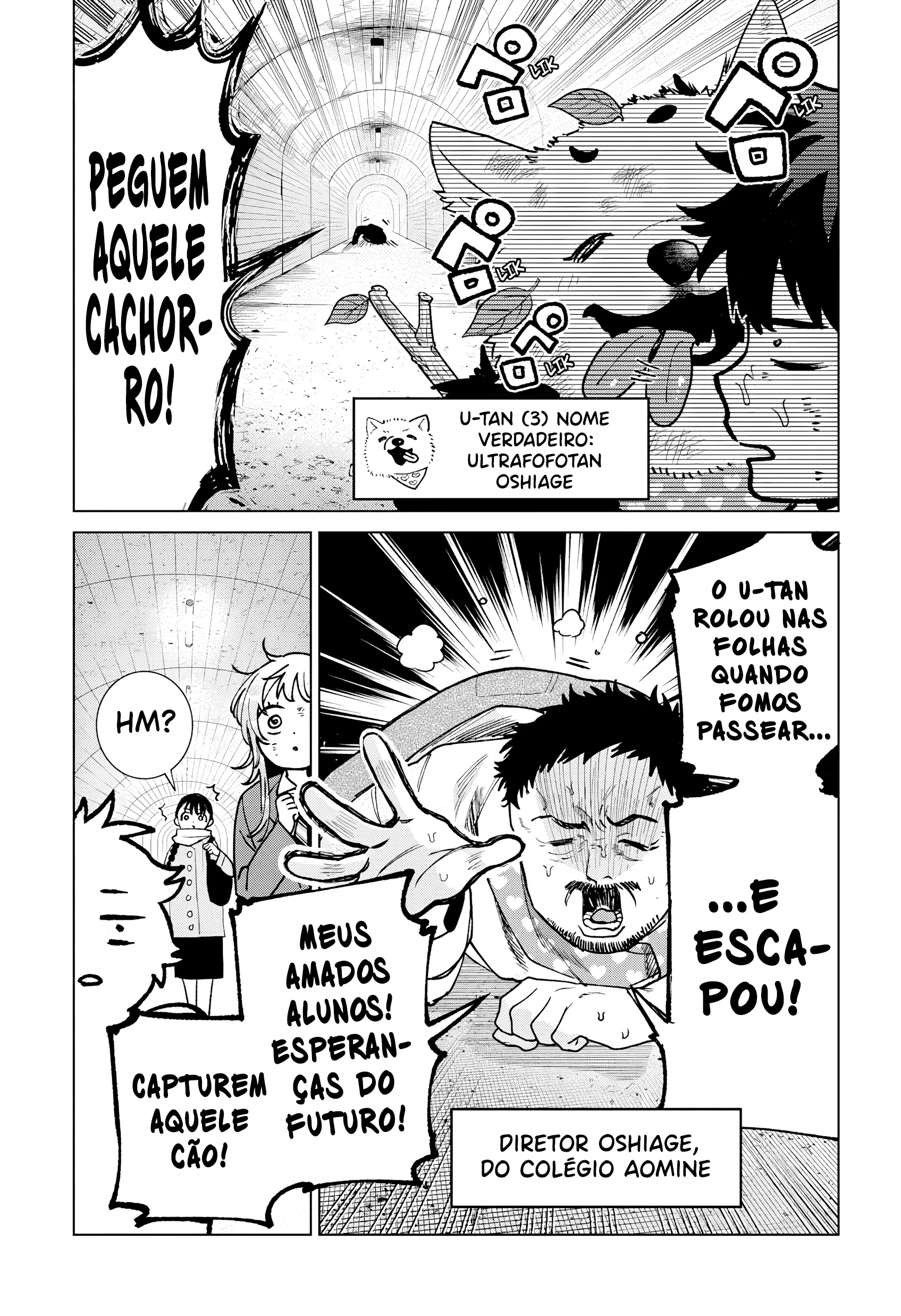 Página 20