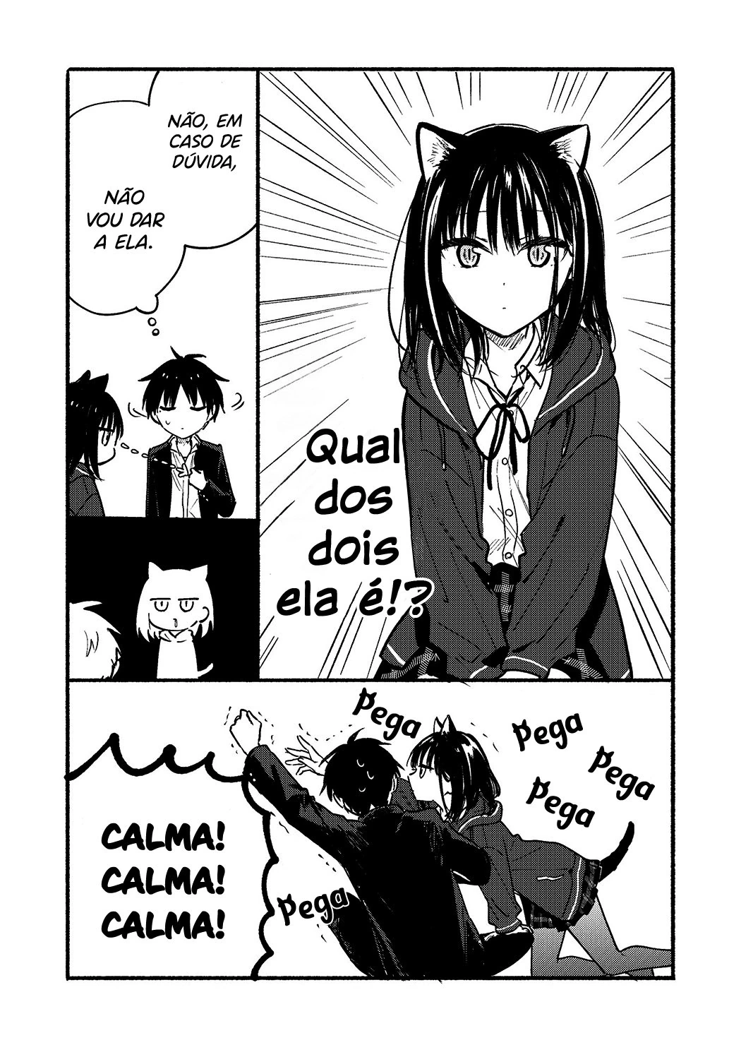 Página 11