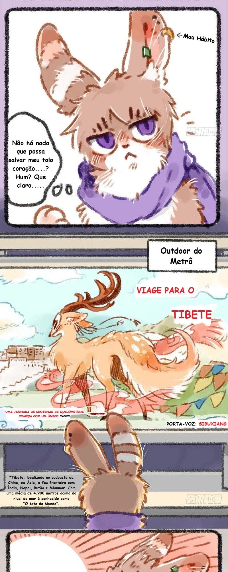 Página 3