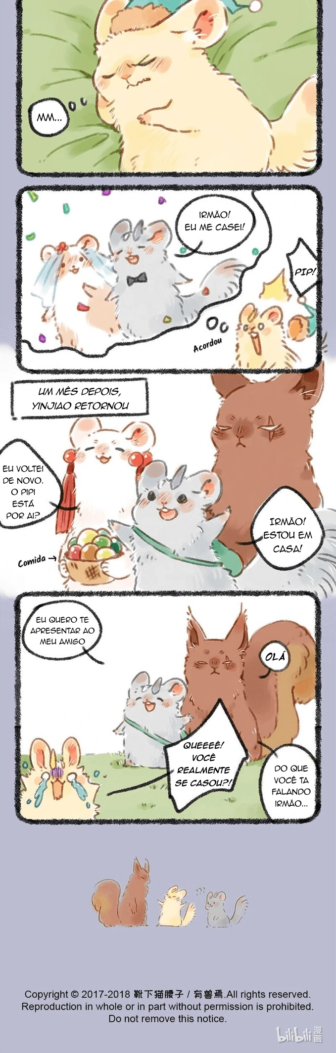 Página 3