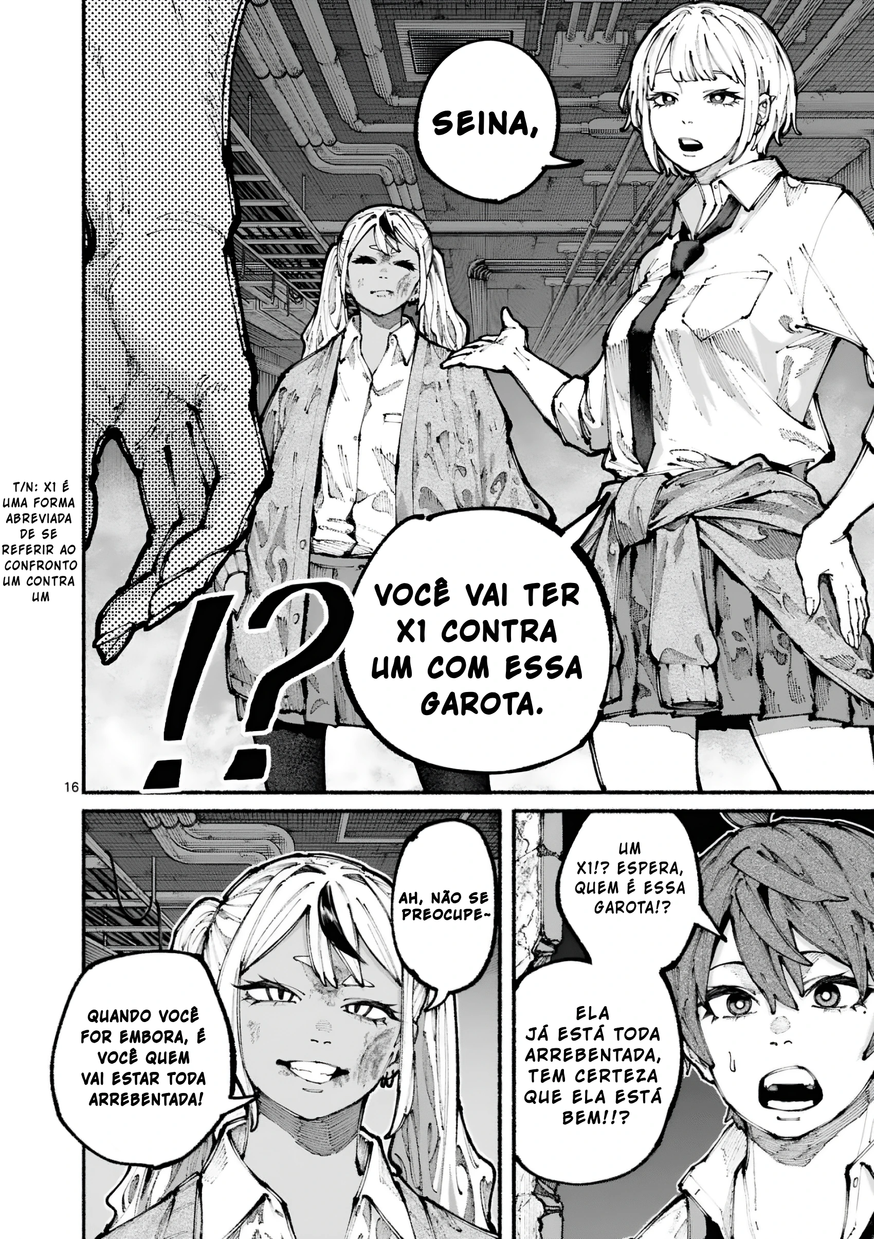 Página 17