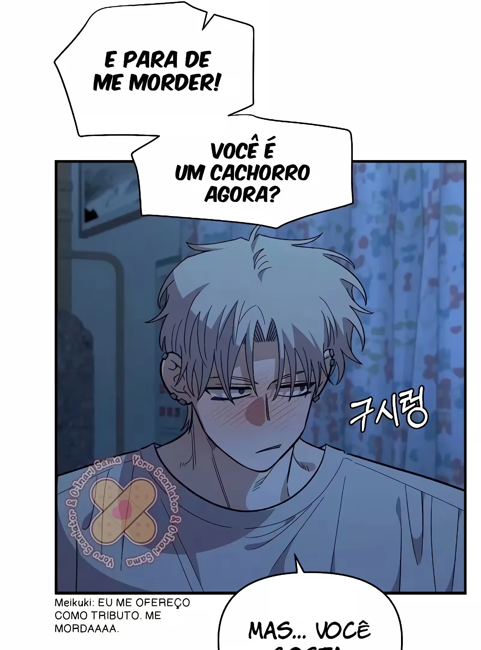 Página 19