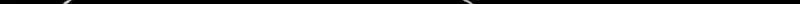 Página 219