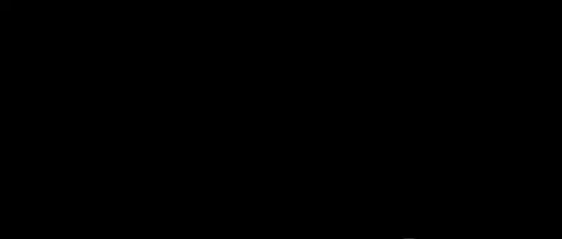 Página 113