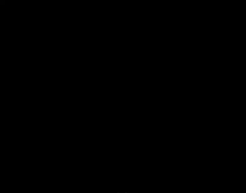 Página 119