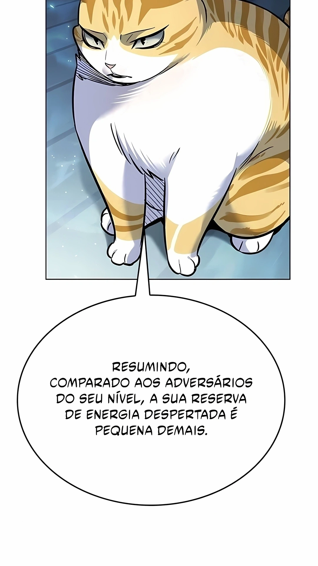 Página 81