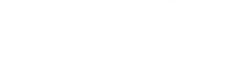 Página 441