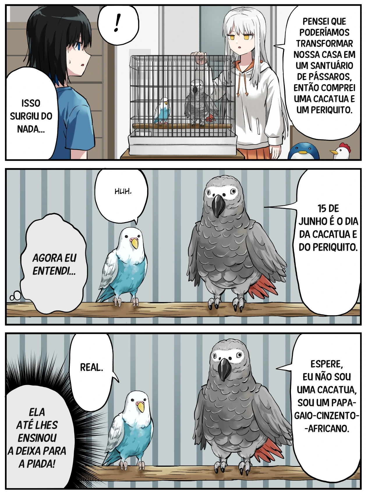 Página 3