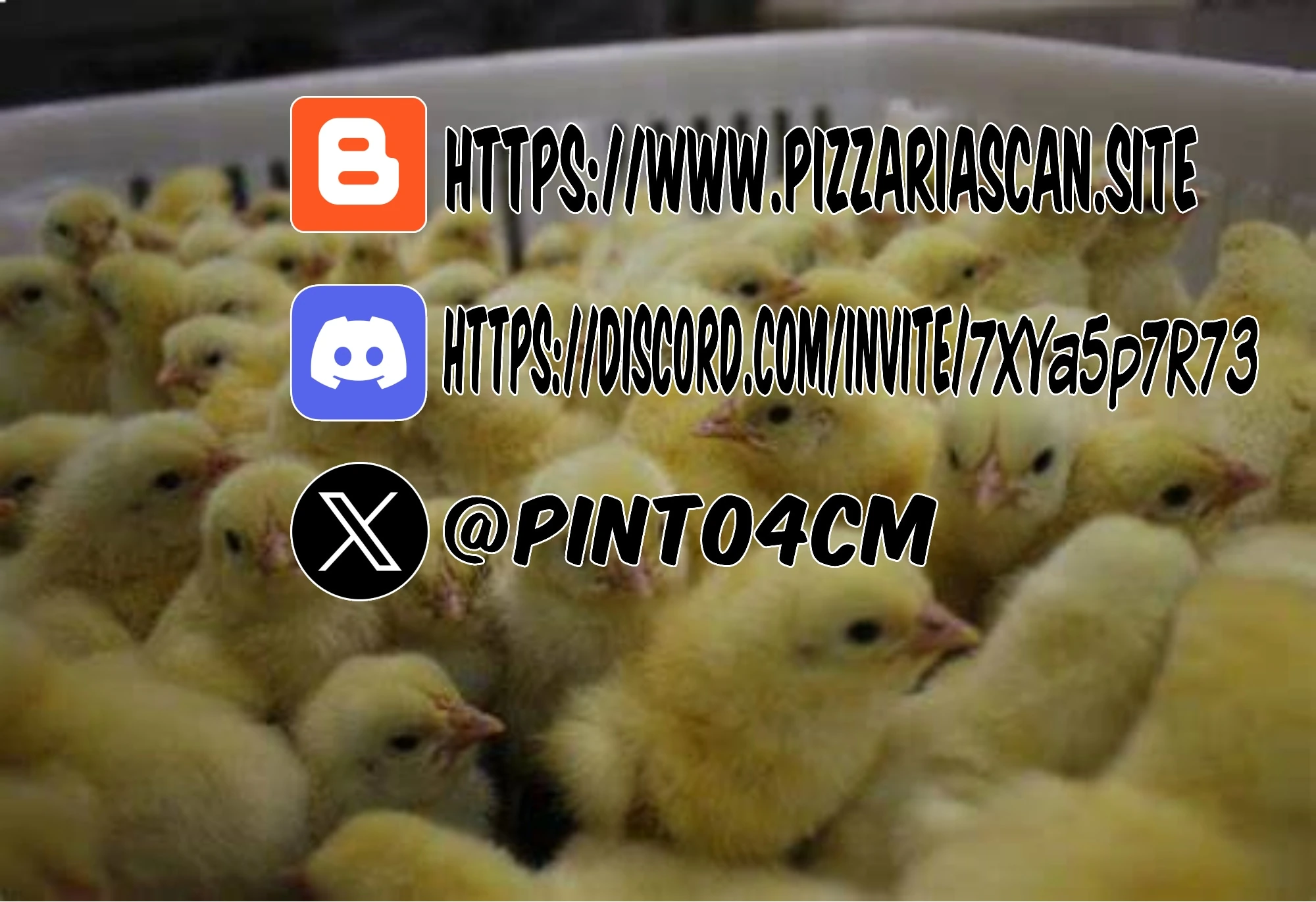 Página 17