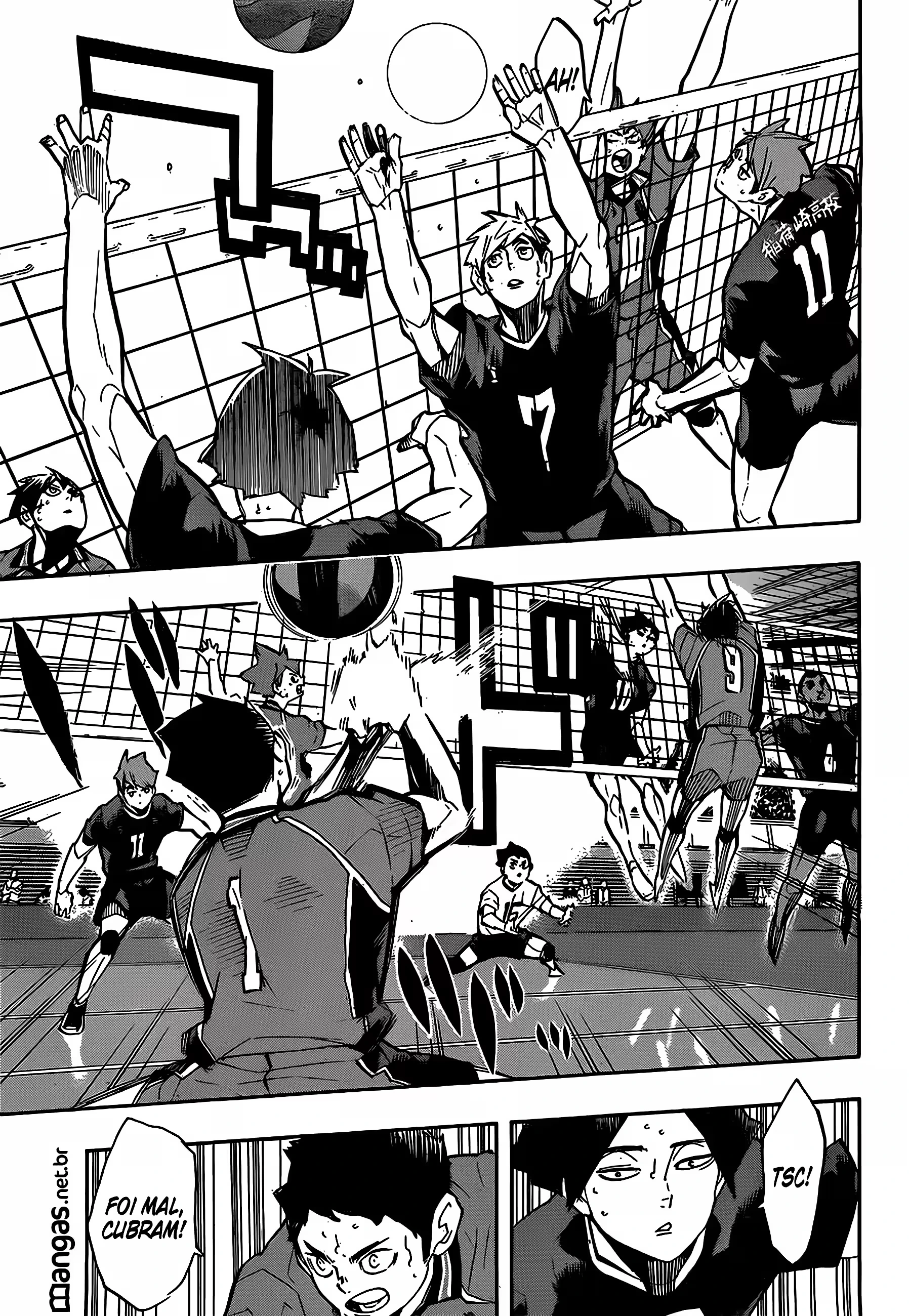 Página 17