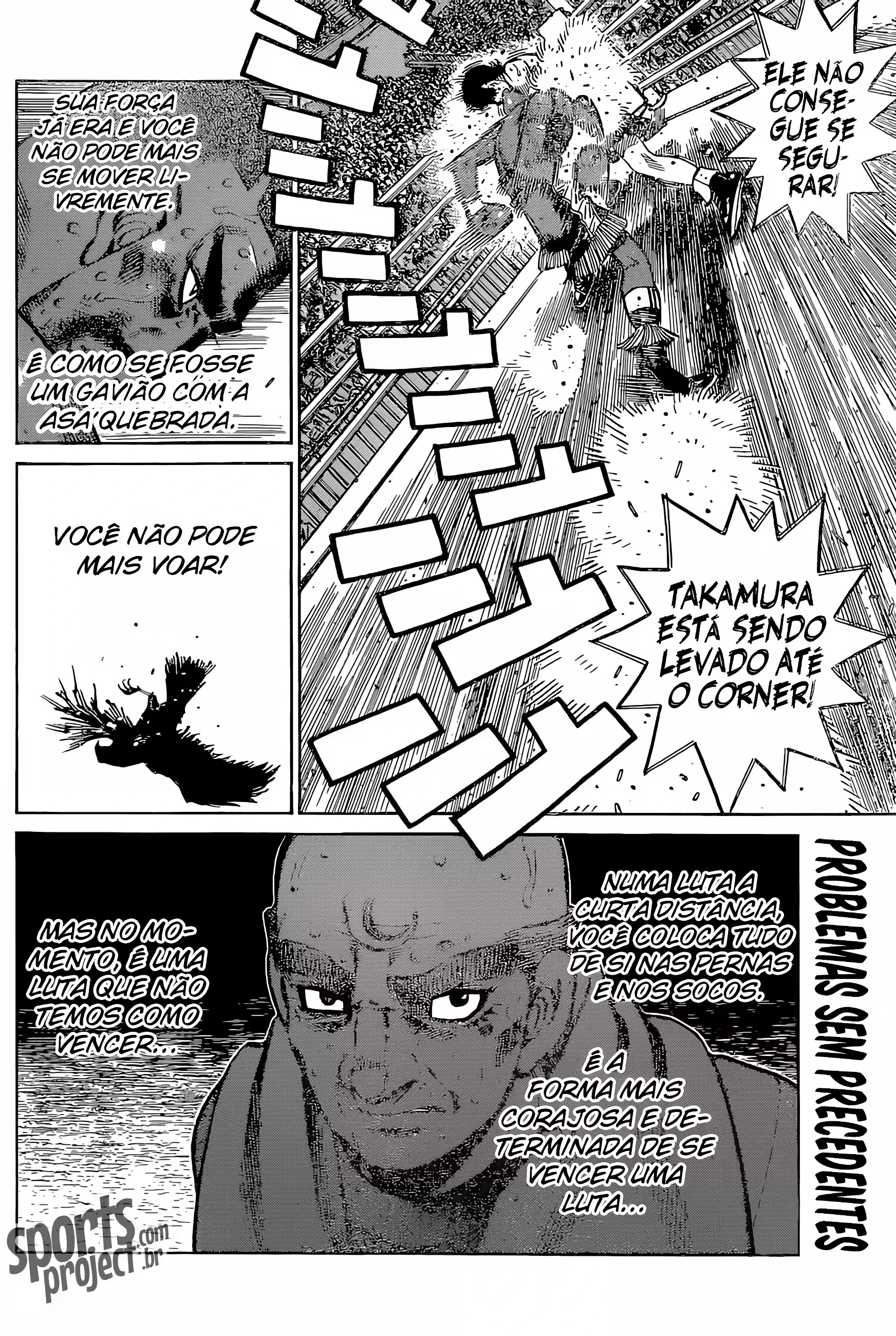 Página 19