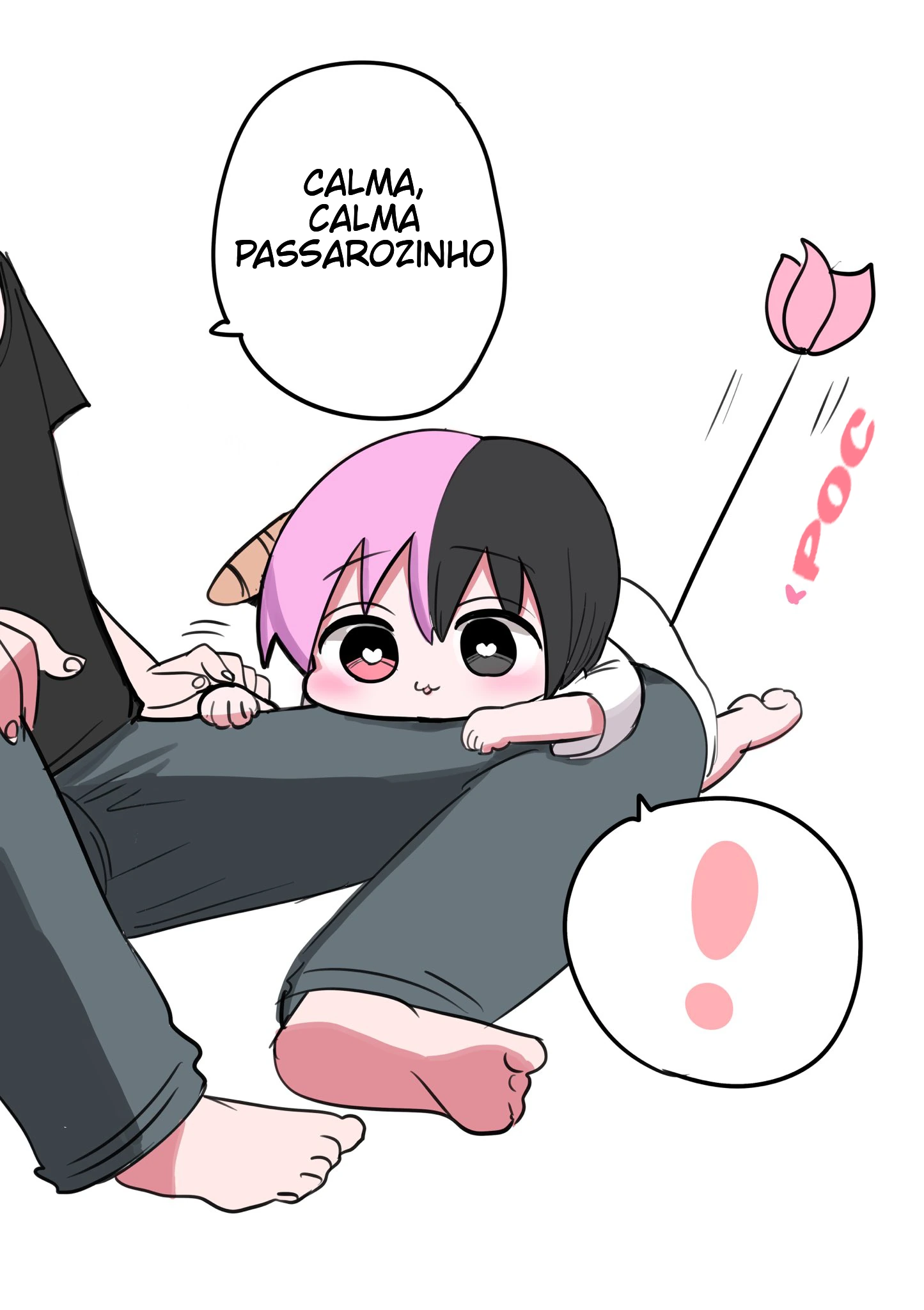 Página 6