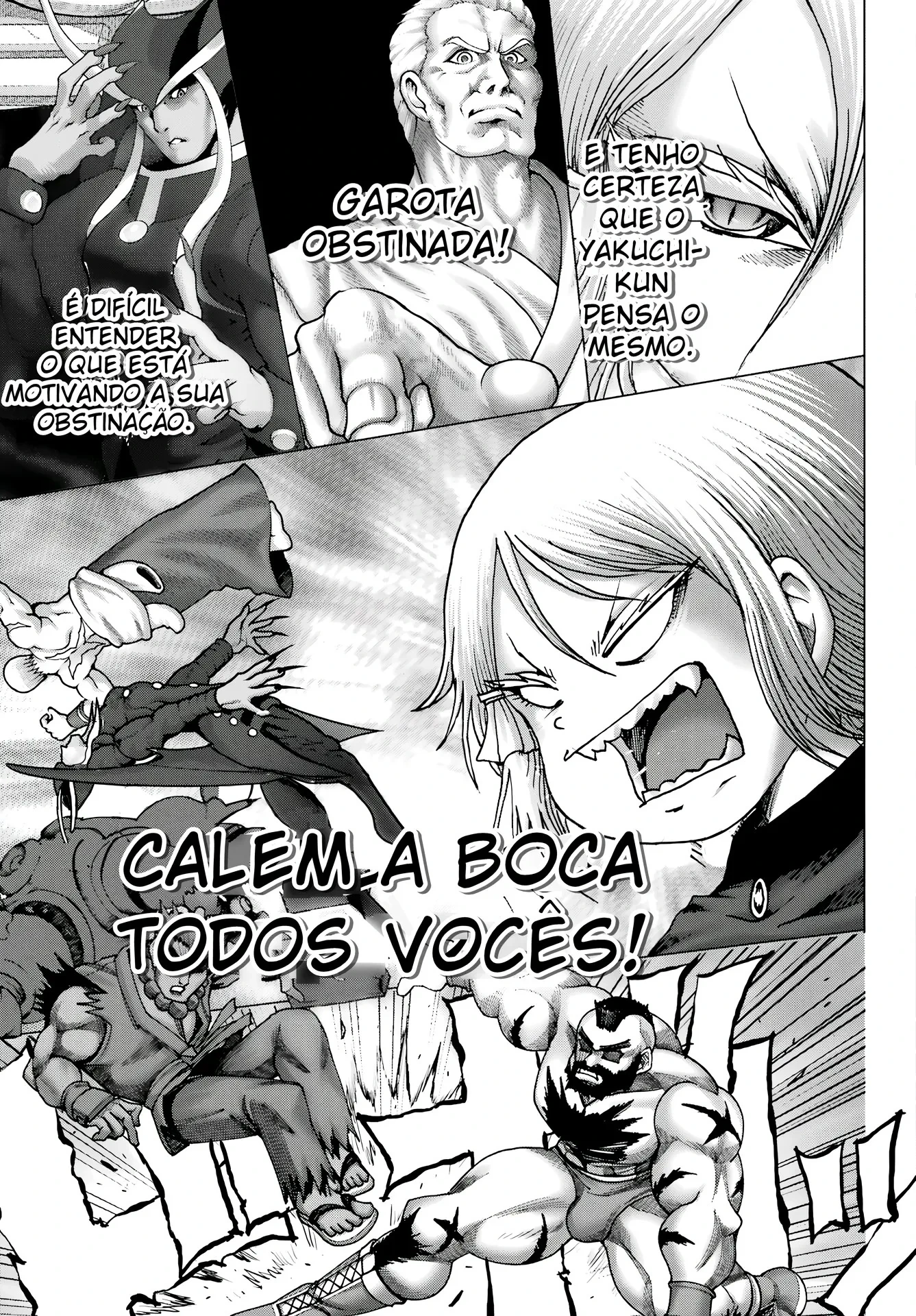 Página 17