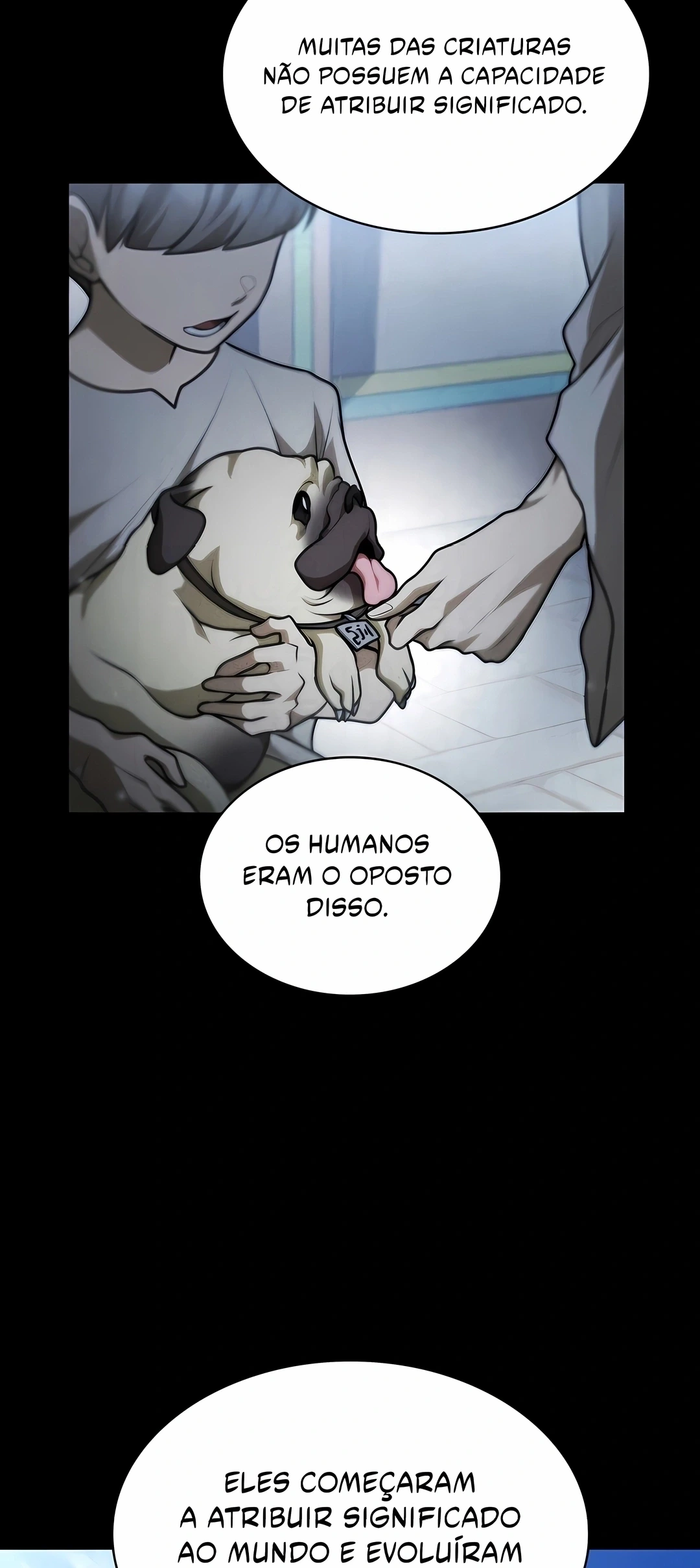 Página 81