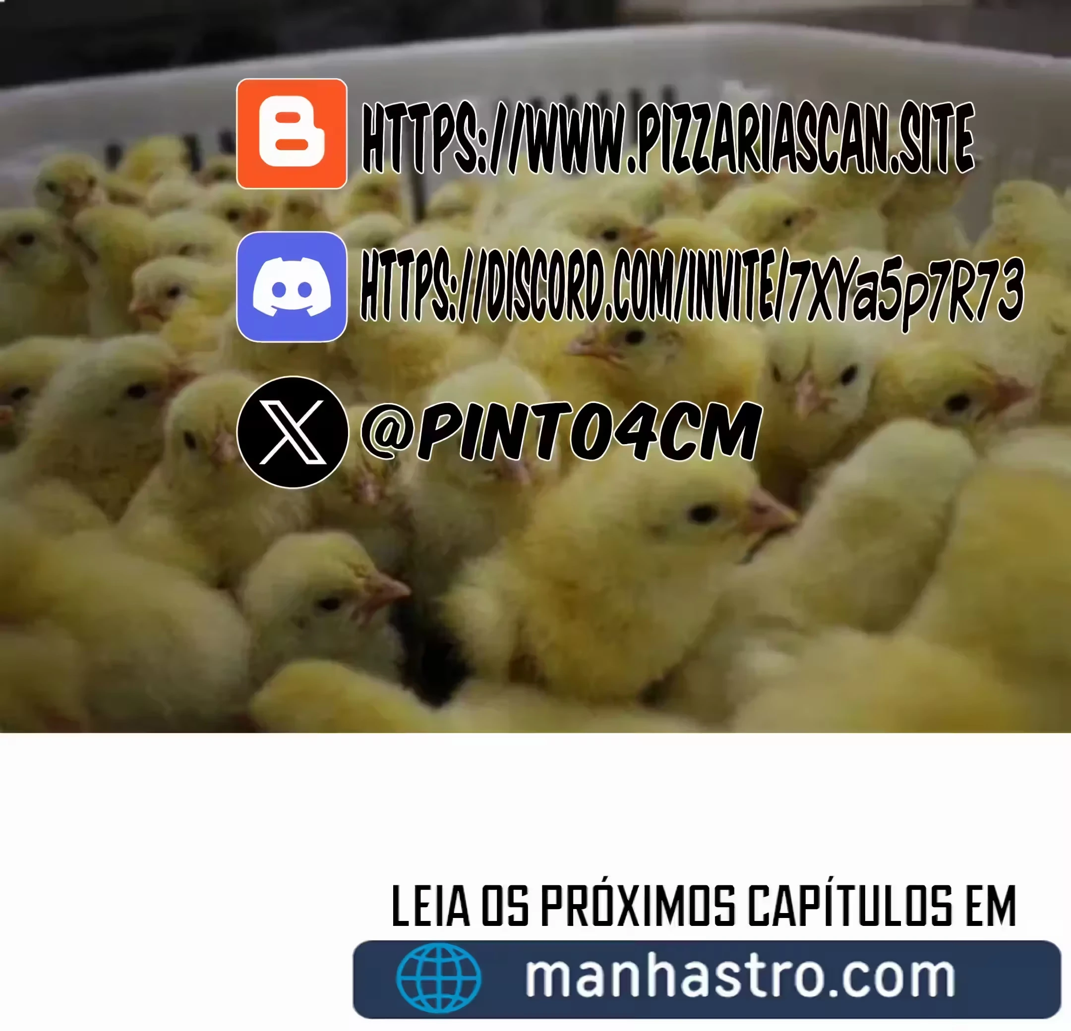Página 6