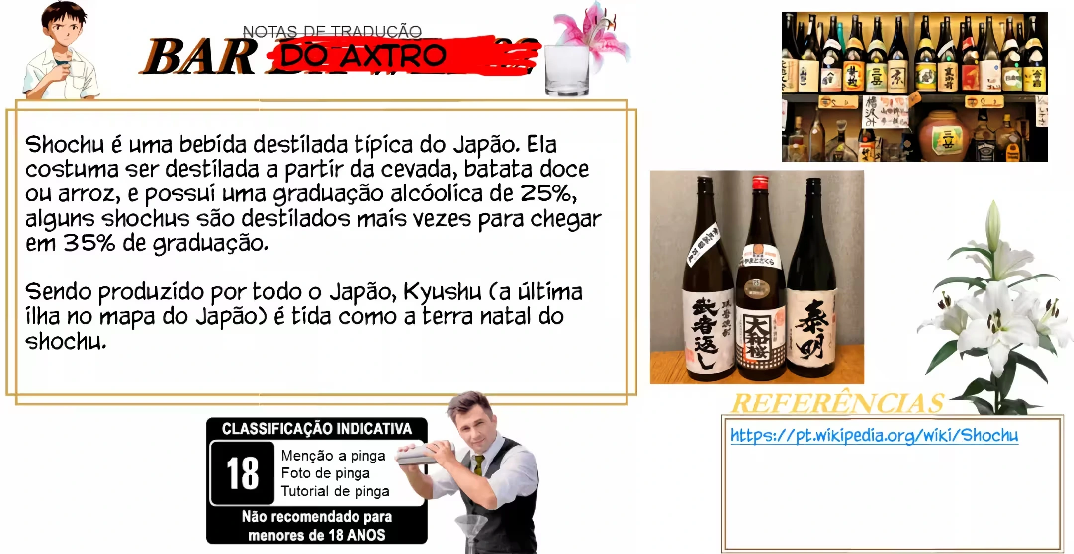 Página 16