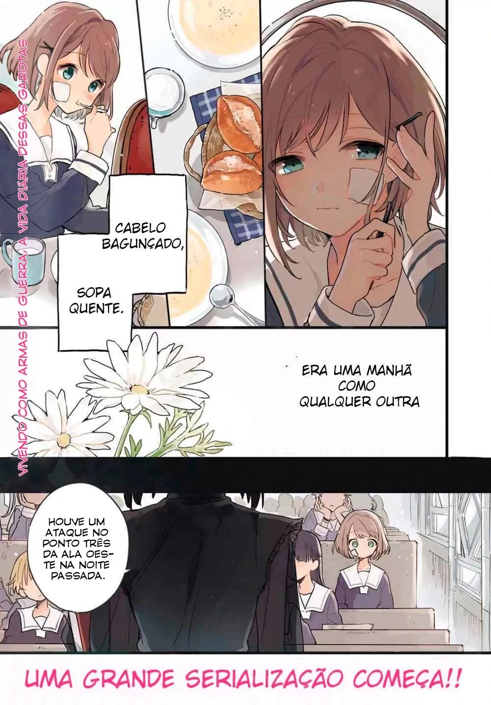 Página 3