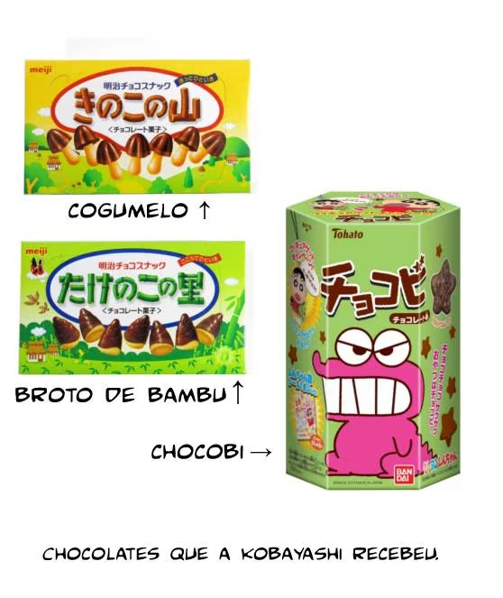 Página 19