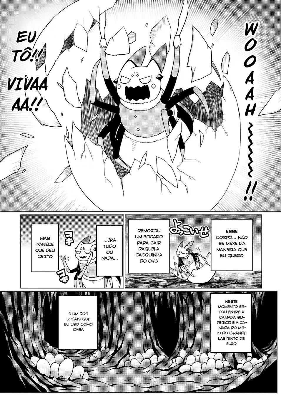 Página 17