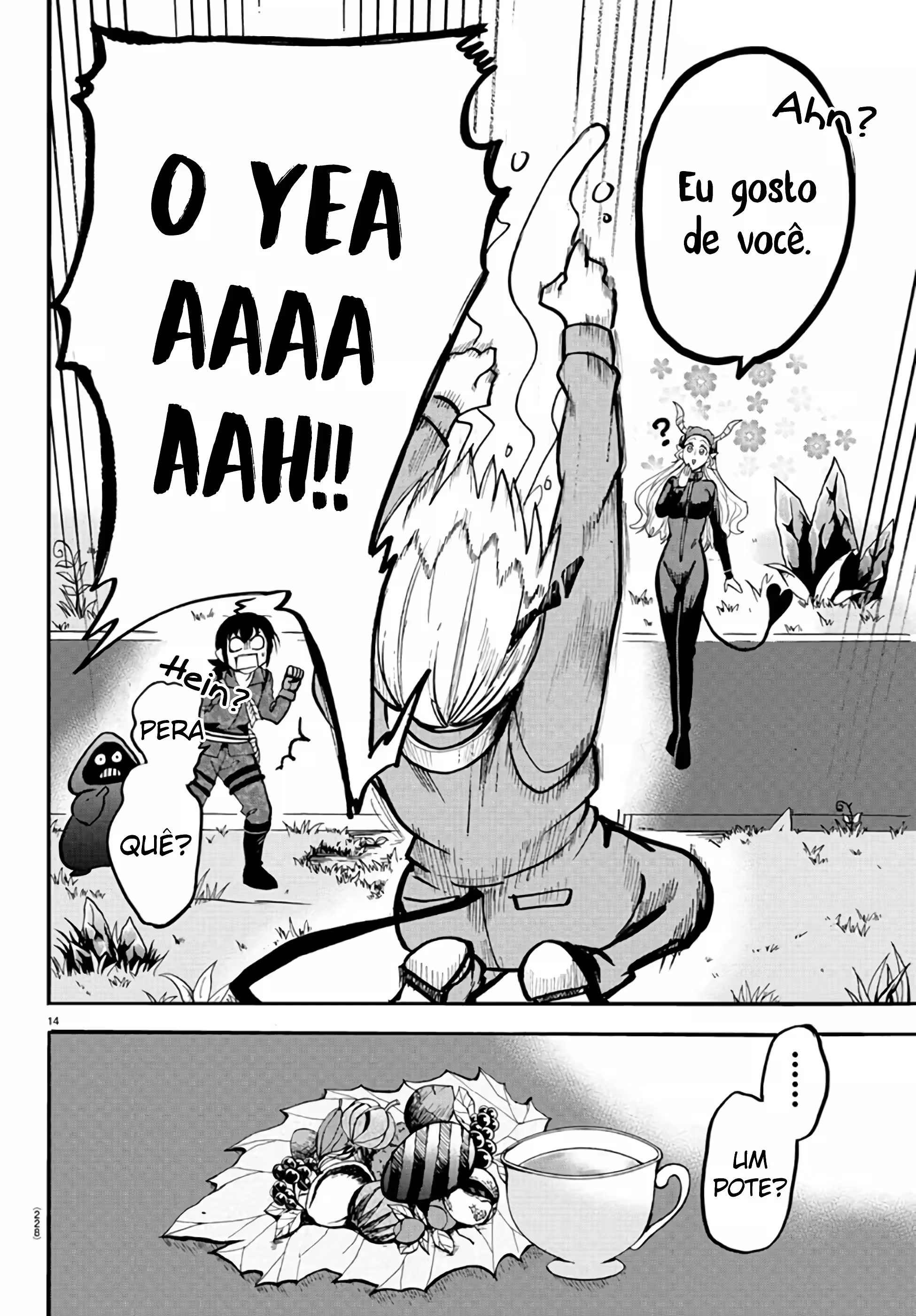 Página 14