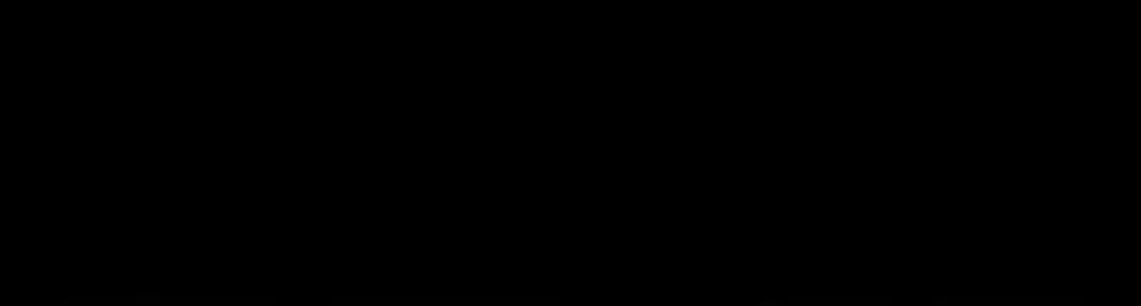 Página 207