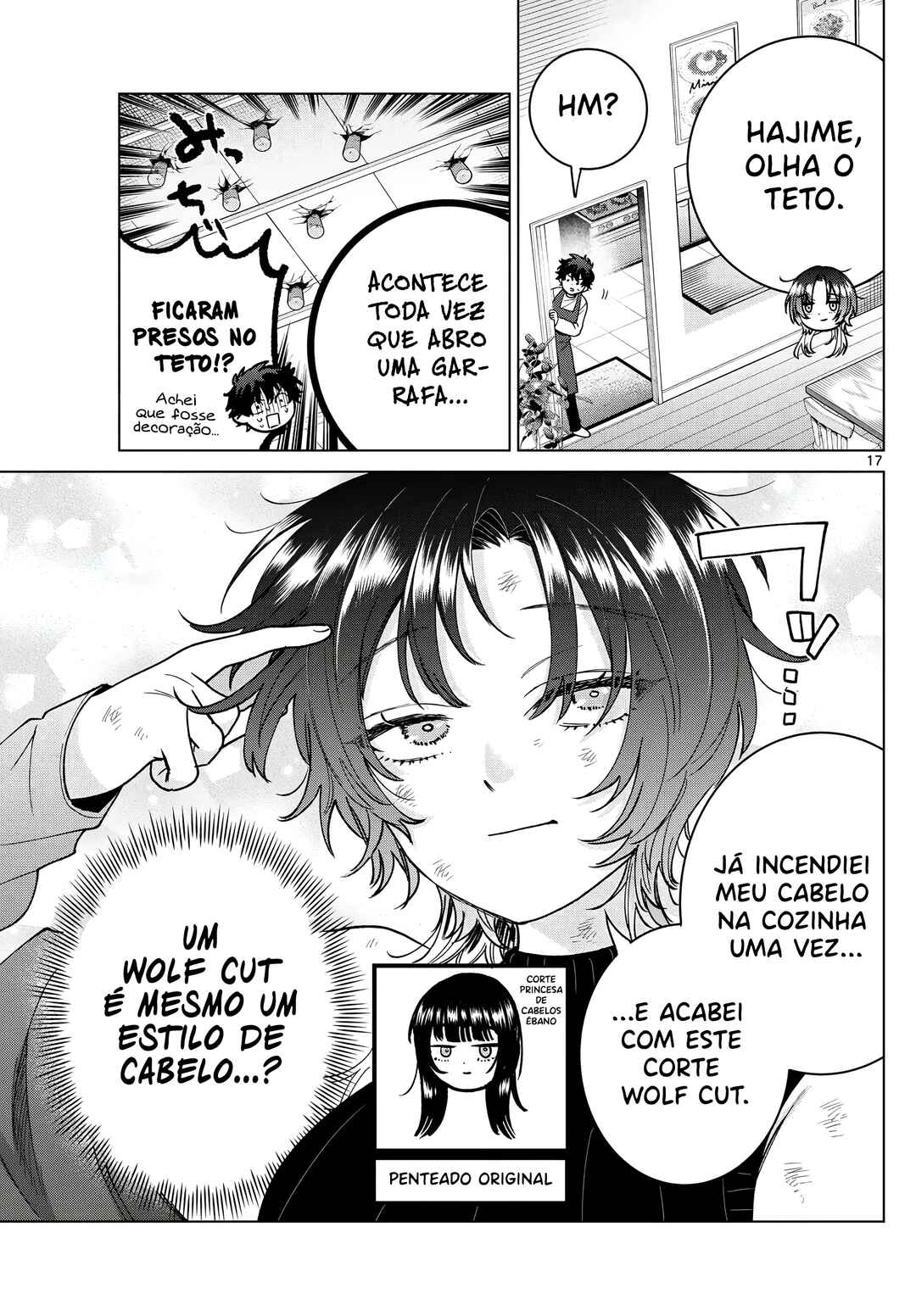 Página 17