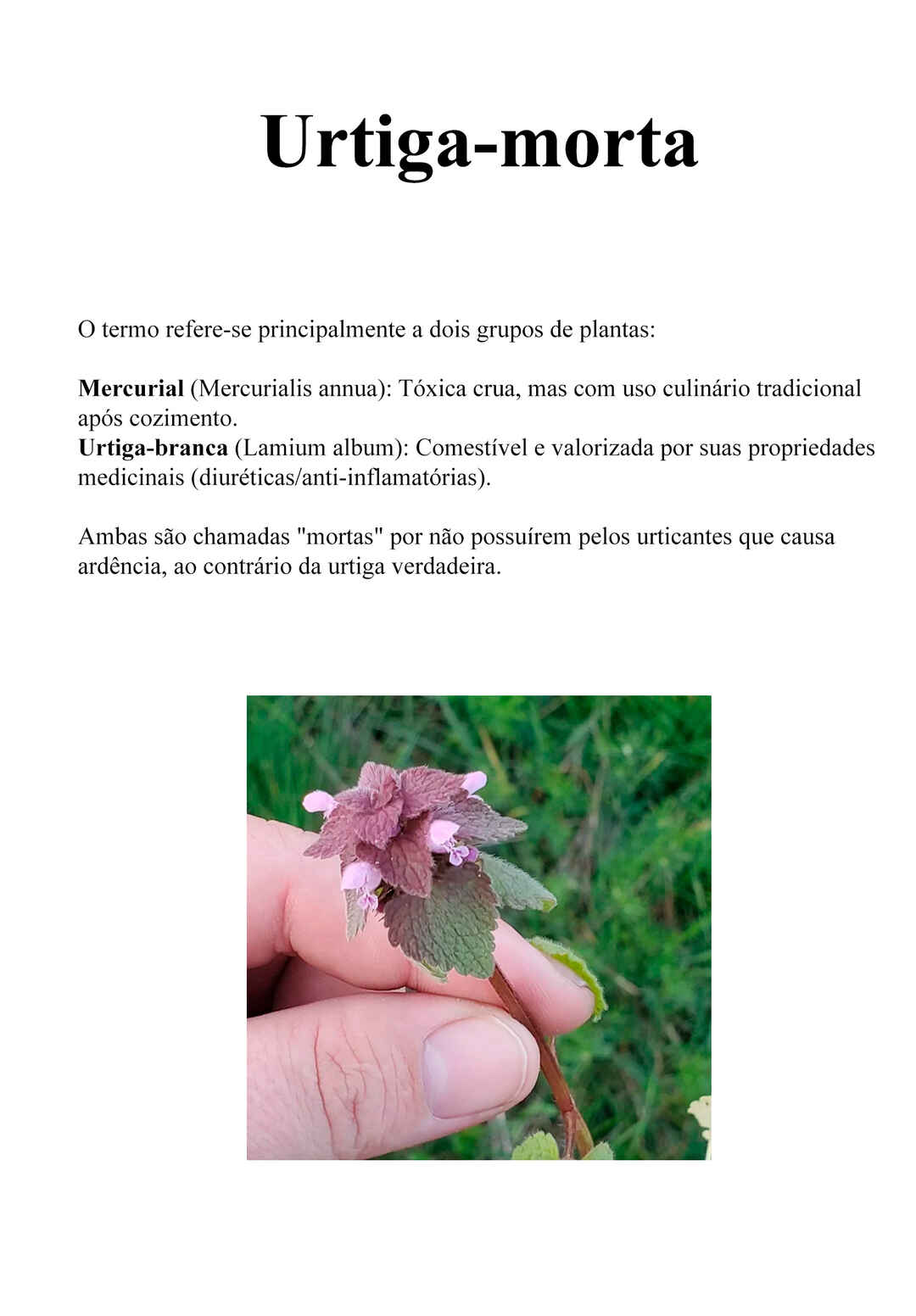 Página 24