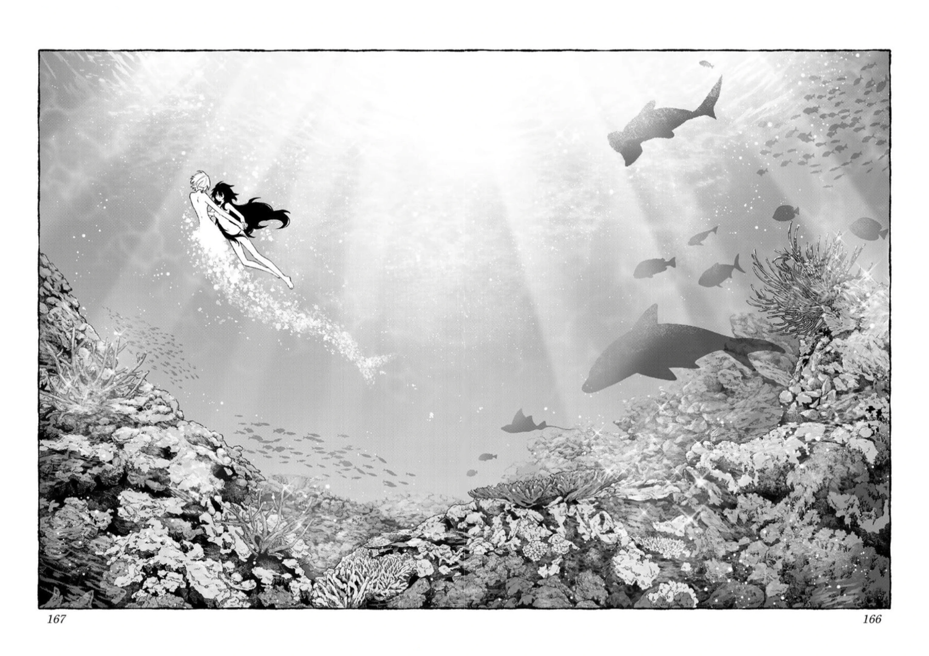 Página 40