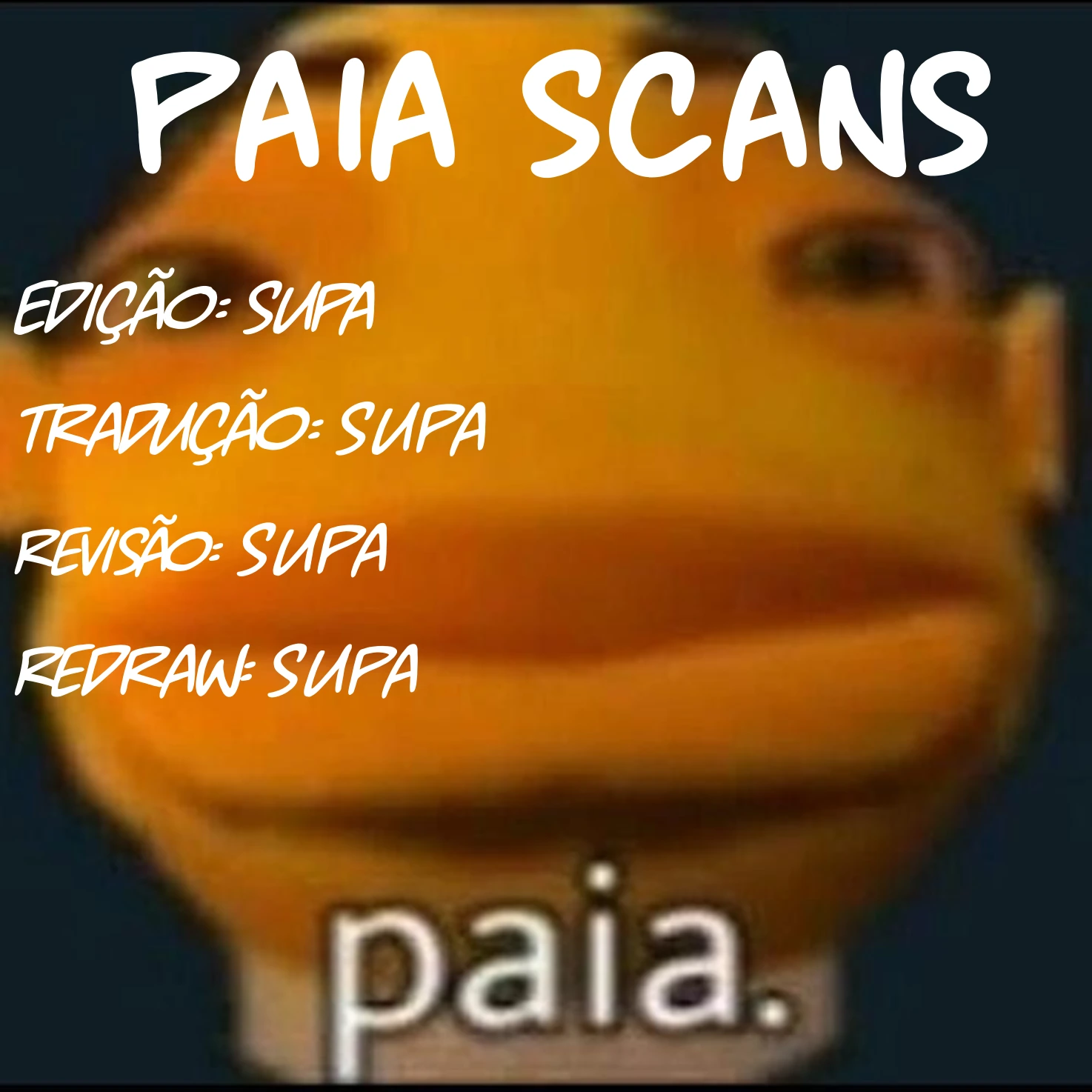 Página 29