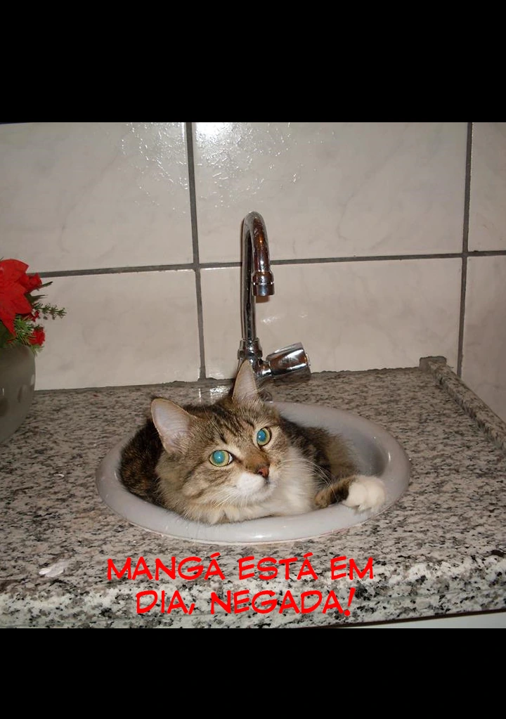 Página 39