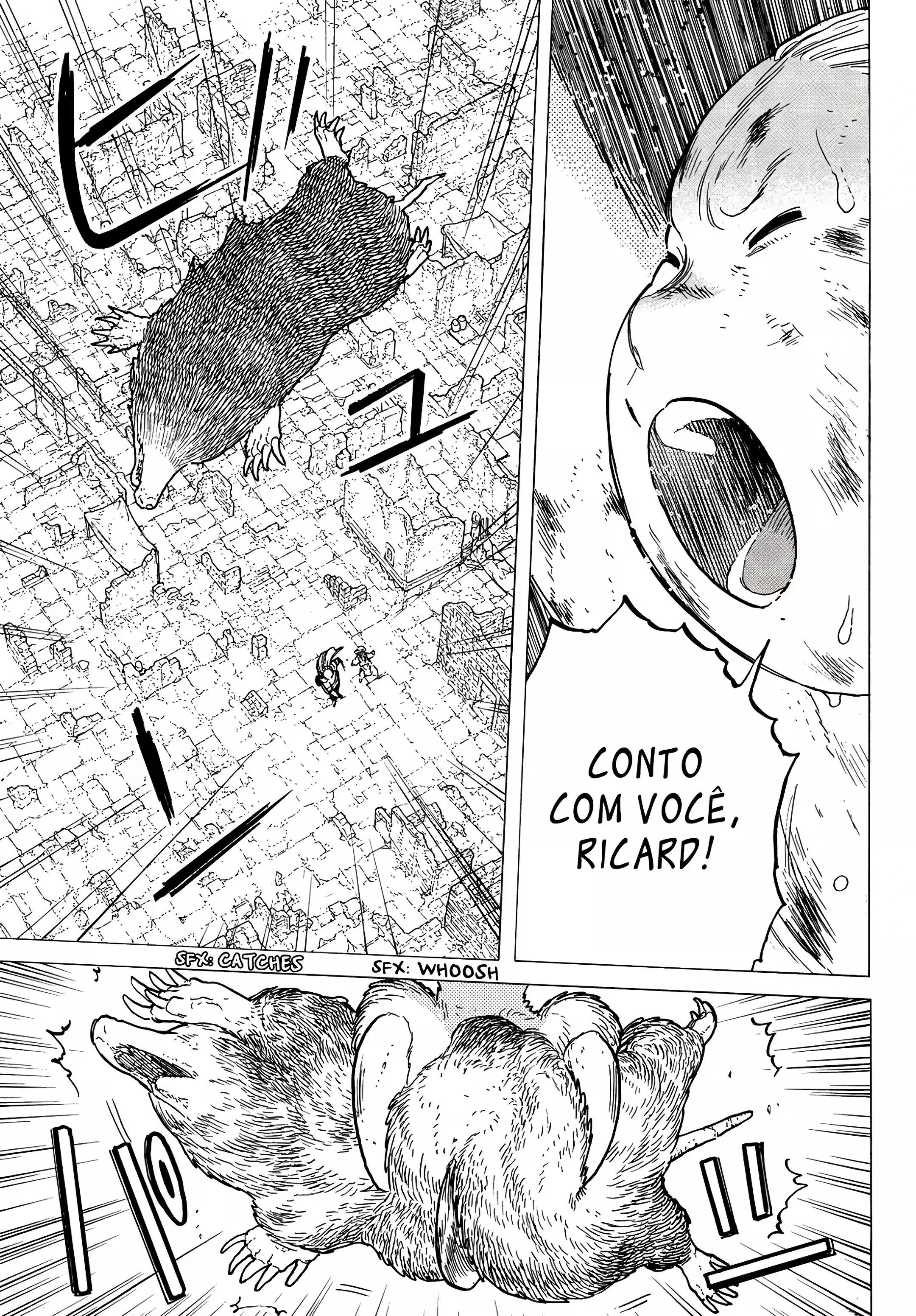 Página 13