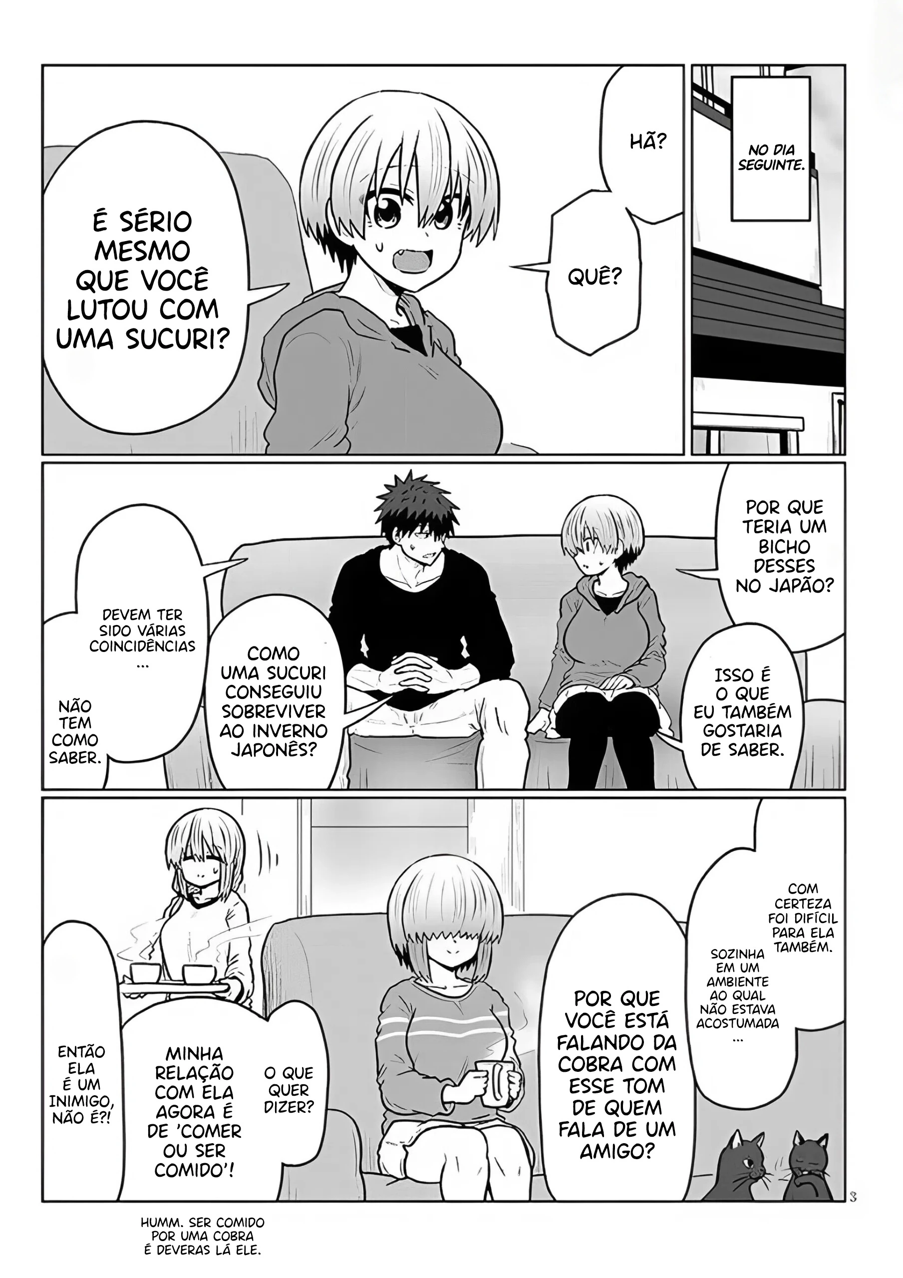 Página 3