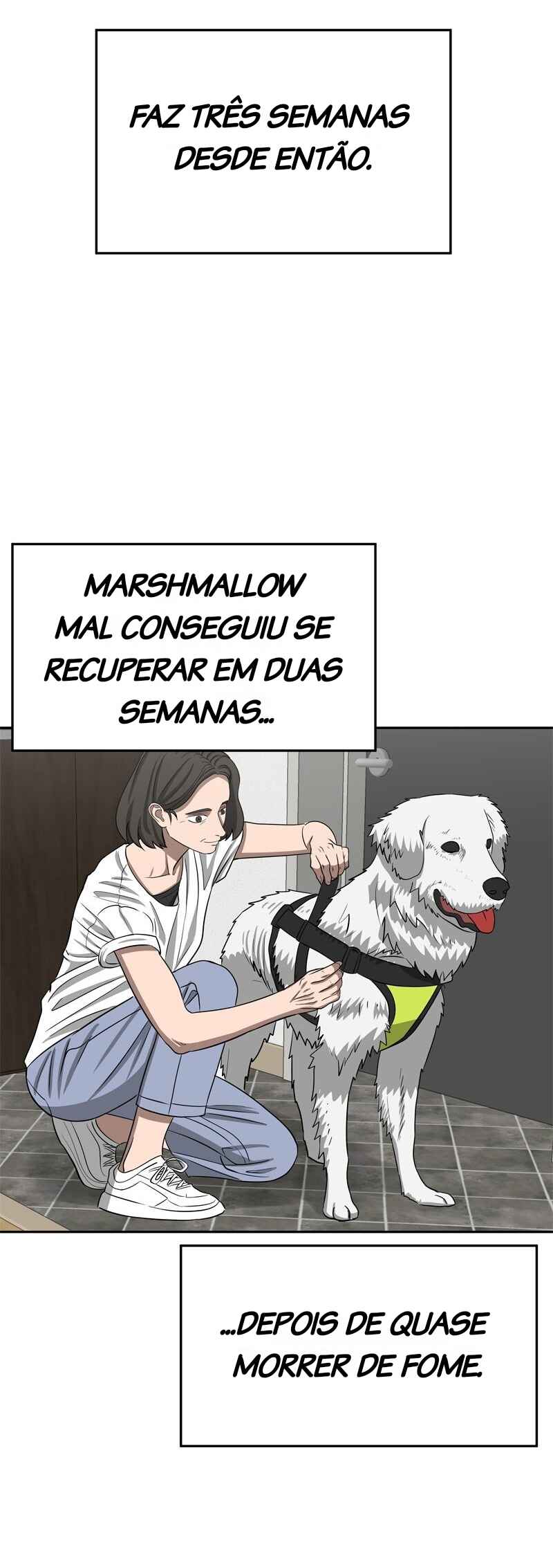 Página 65