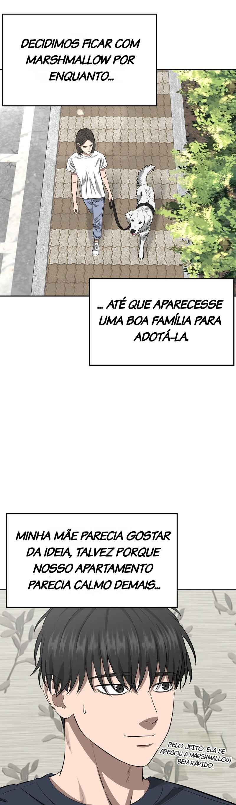 Página 66